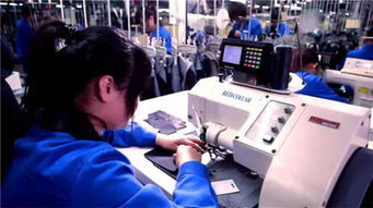 红领集团张蕴蓝 智造成就新商业传奇