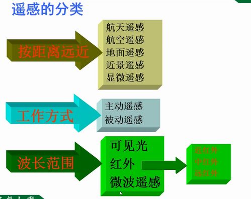 现代林业信息技术 驱动森林可持续发展的新引擎